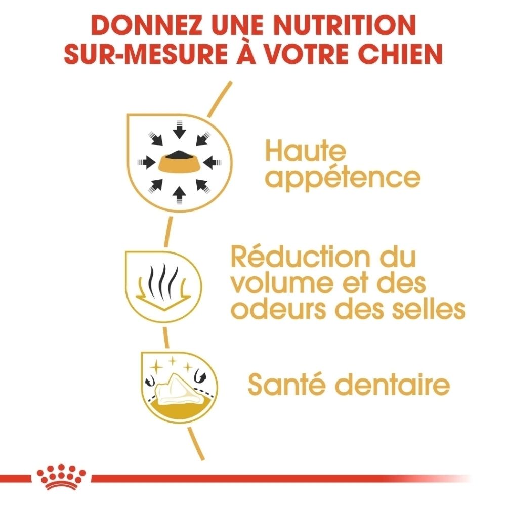 ROYAL CANIN Chihuahua Adult : haute appétence, réduction volume/odeur selles, santé dentaire.
