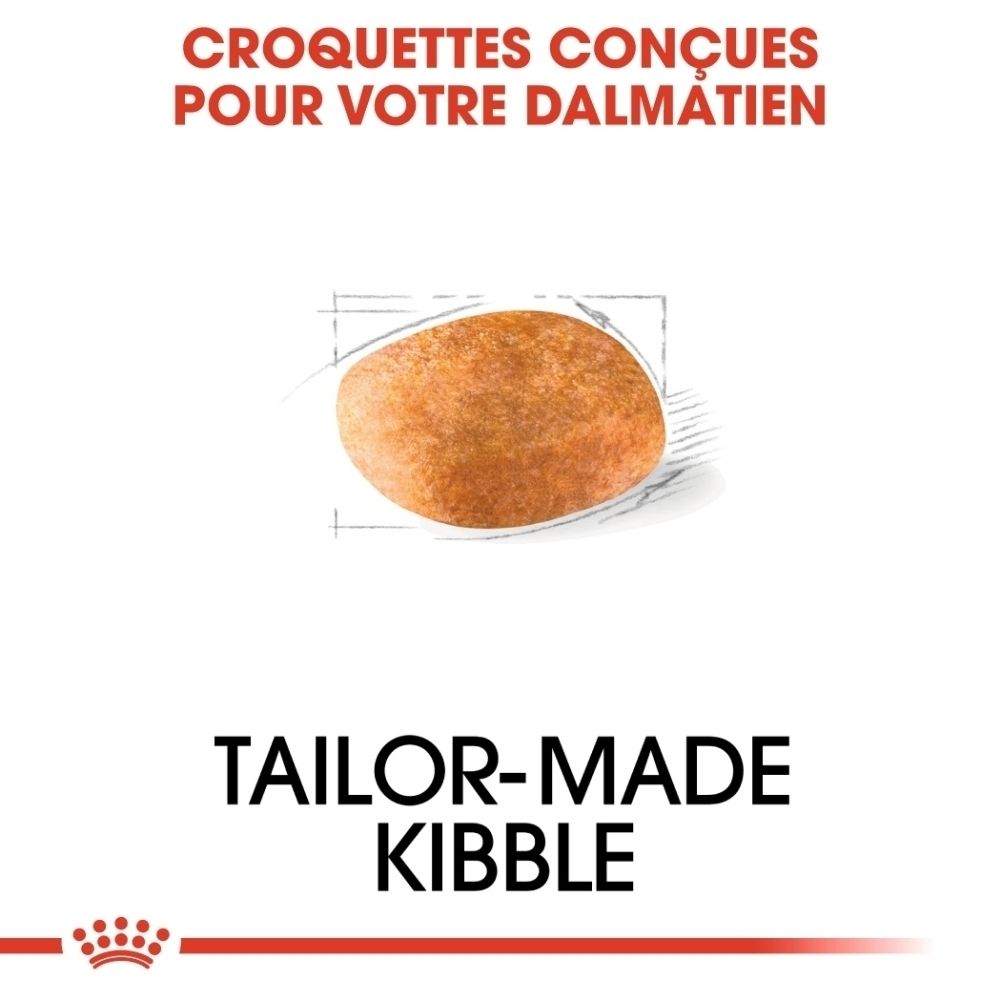 Illustration d'un Dalmatien avec texte sur les croquettes sur mesure.
