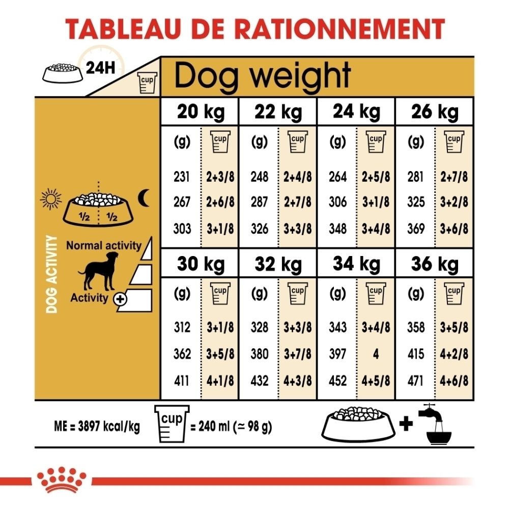 Illustration d'un Dalmatien avec texte sur la nutrition sur mesure pour chiens.