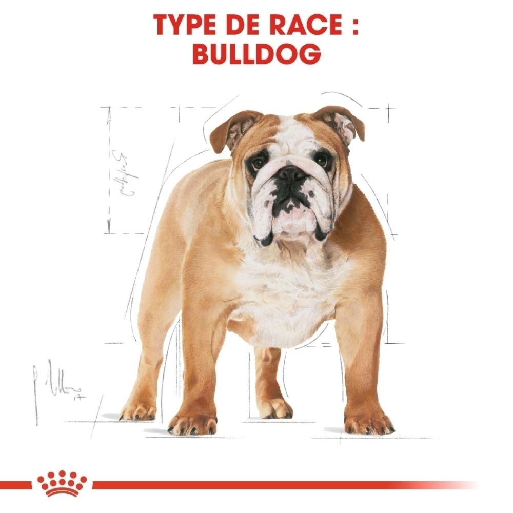 Sac de croquettes Royal Canin Bulldog : illustration d'un bouledogue et texte sur les croquettes sur mesure.