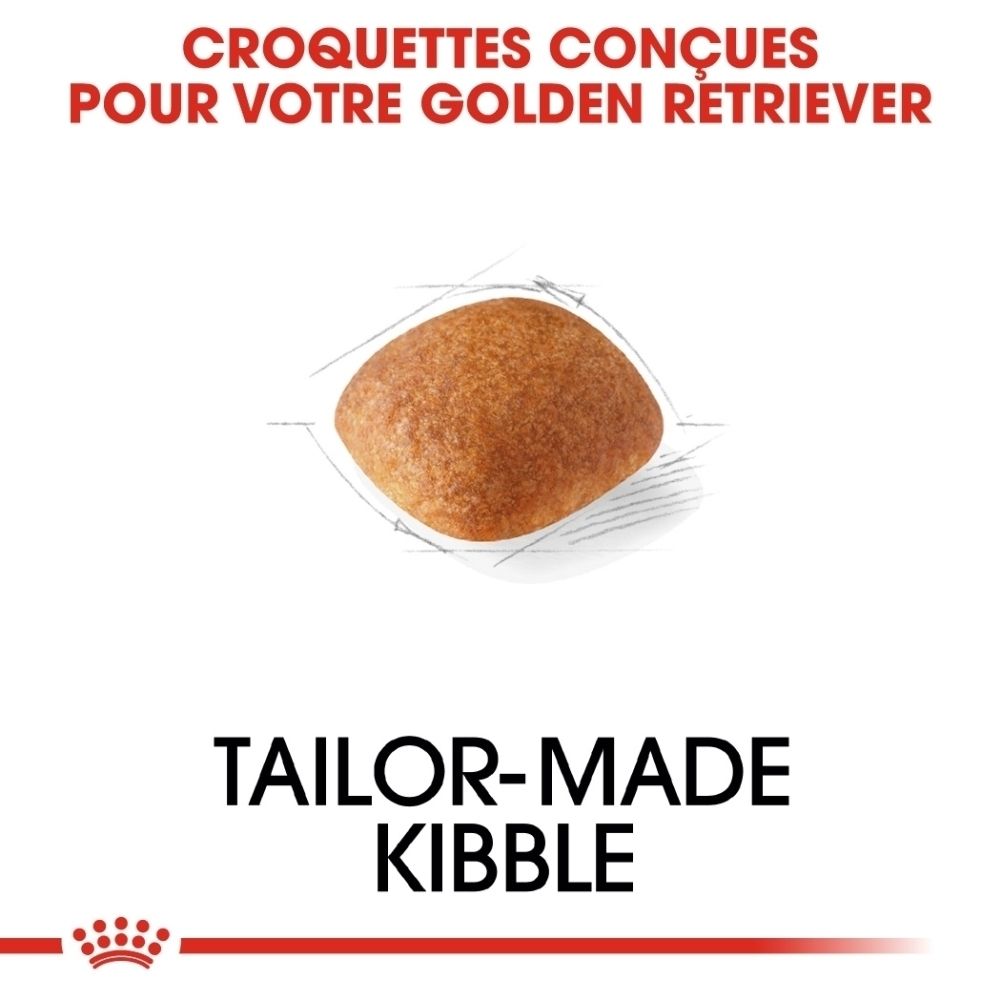 ROYAL CANIN Golden Retriever Adulte : illustration de la santé de la peau et du pelage, fonction cardiaque, poids idéal.
