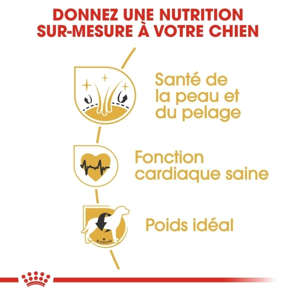 Tableau de rationnement pour ROYAL CANIN Golden Retriever Adulte selon le poids et l'activité.