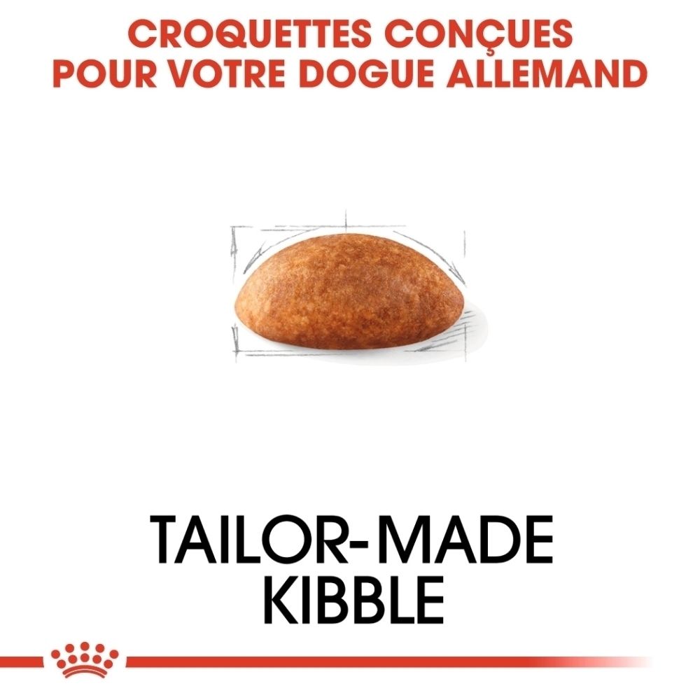 Illustration d'une croquette pour Royal Canin Great Dane Adult, "Tailor-Made Kibble".