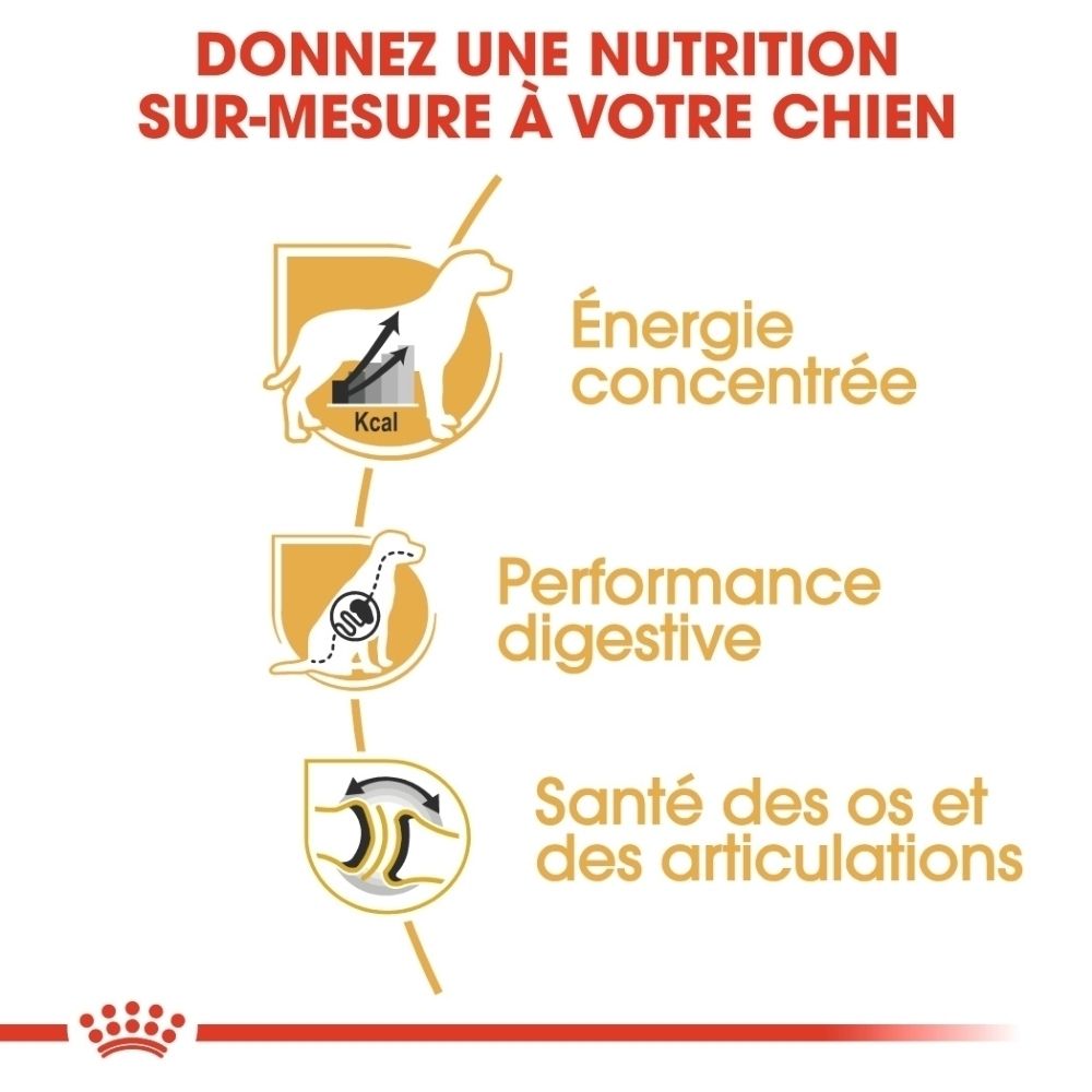 Graphiques sur l'énergie concentrée, la performance digestive et la santé articulaire pour Royal Canin.