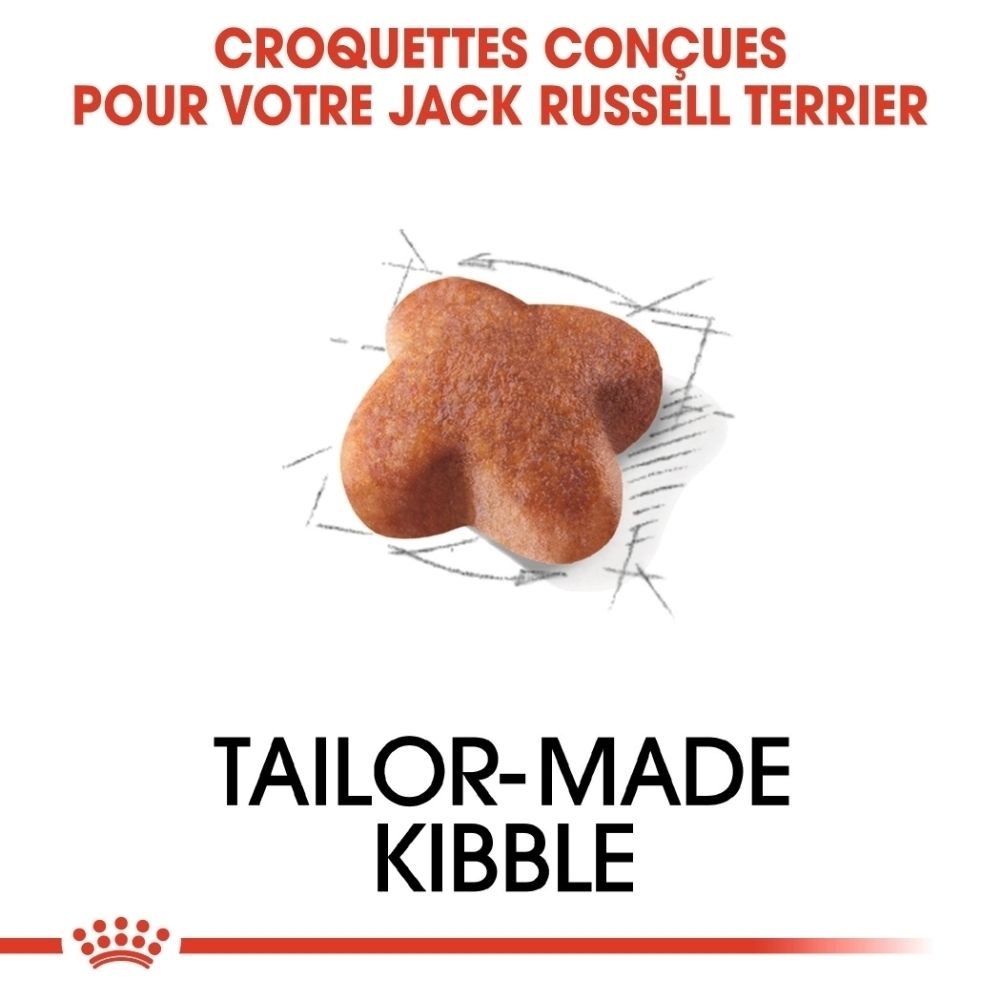 Croquettes sur mesure pour Jack Russell Terrier.