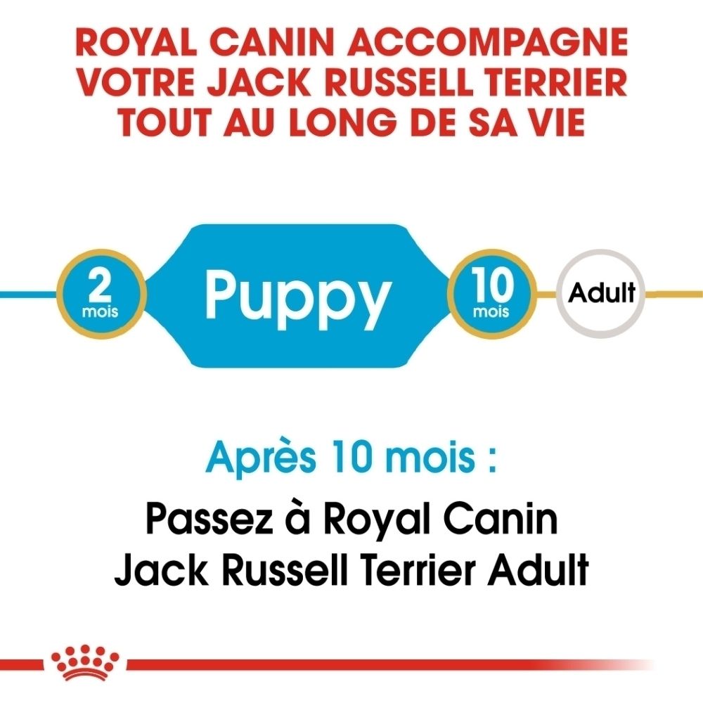 Avant d'un paquet de nourriture pour chiot Royal Canin Jack Russell Terrier avec image de chiot et caractéristiques du produit.