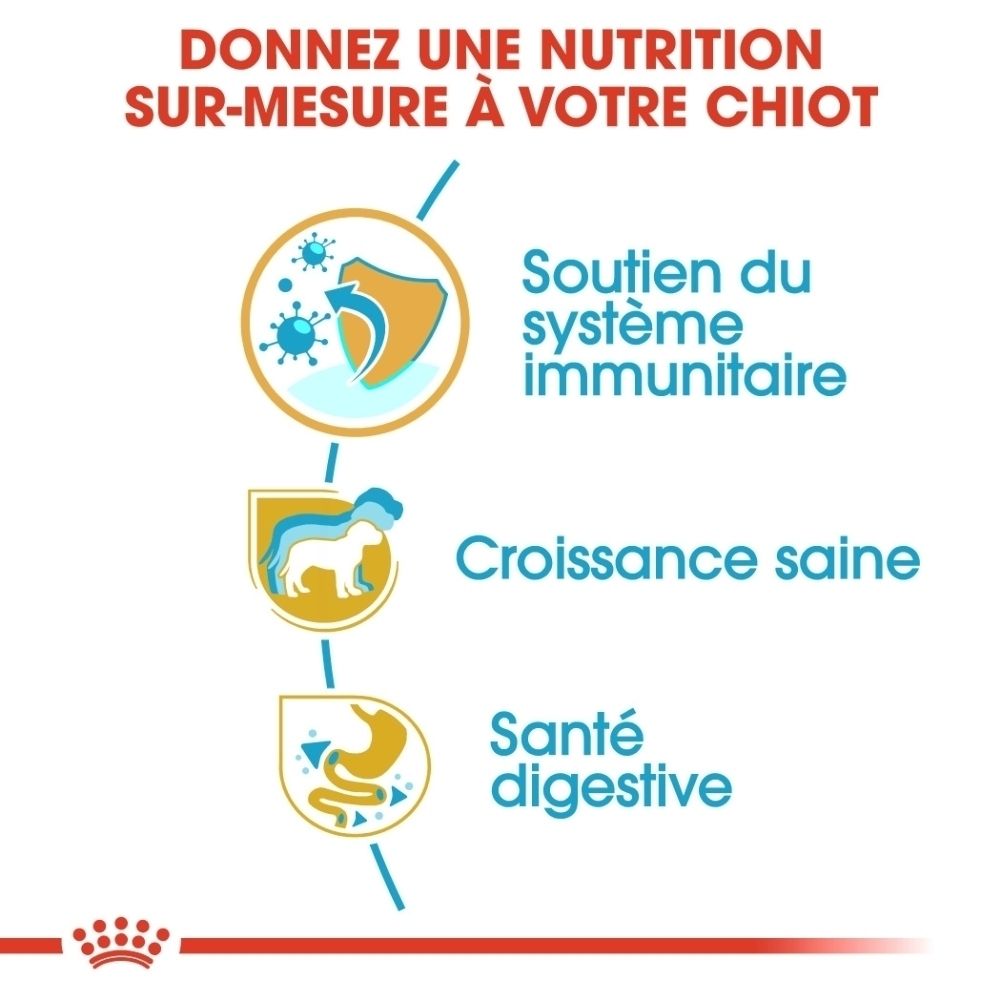 Paquet de nourriture pour chiot Royal Canin Jack Russell Terrier avec informations sur la nutrition par phase de vie et par race.
