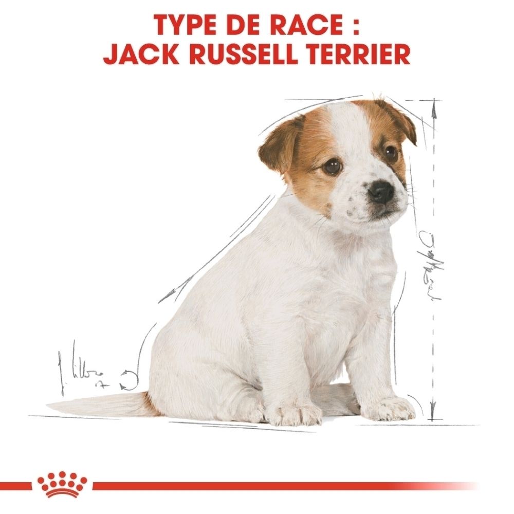 Paquet de nourriture pour chiot Royal Canin Jack Russell Terrier montrant la forme de croquette sur mesure.
