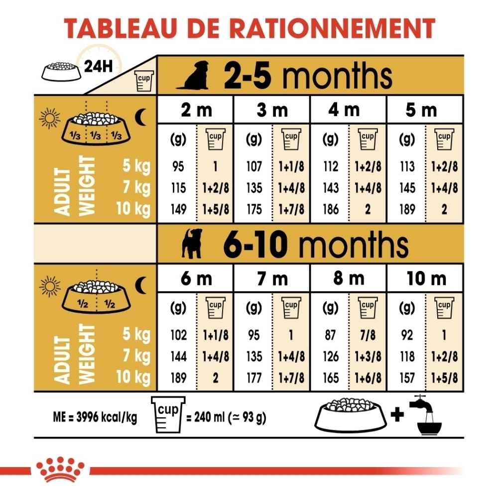 Paquet de nourriture pour chiot Royal Canin Jack Russell Terrier avec graphiques sur le soutien immunitaire, la croissance et la digestion.