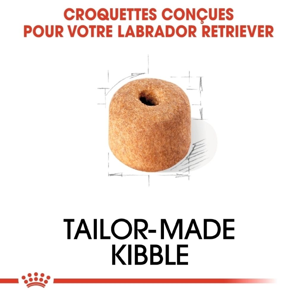 Gros plan d'une croquette de nourriture pour chien, spécialement conçue pour Labrador Retriever.