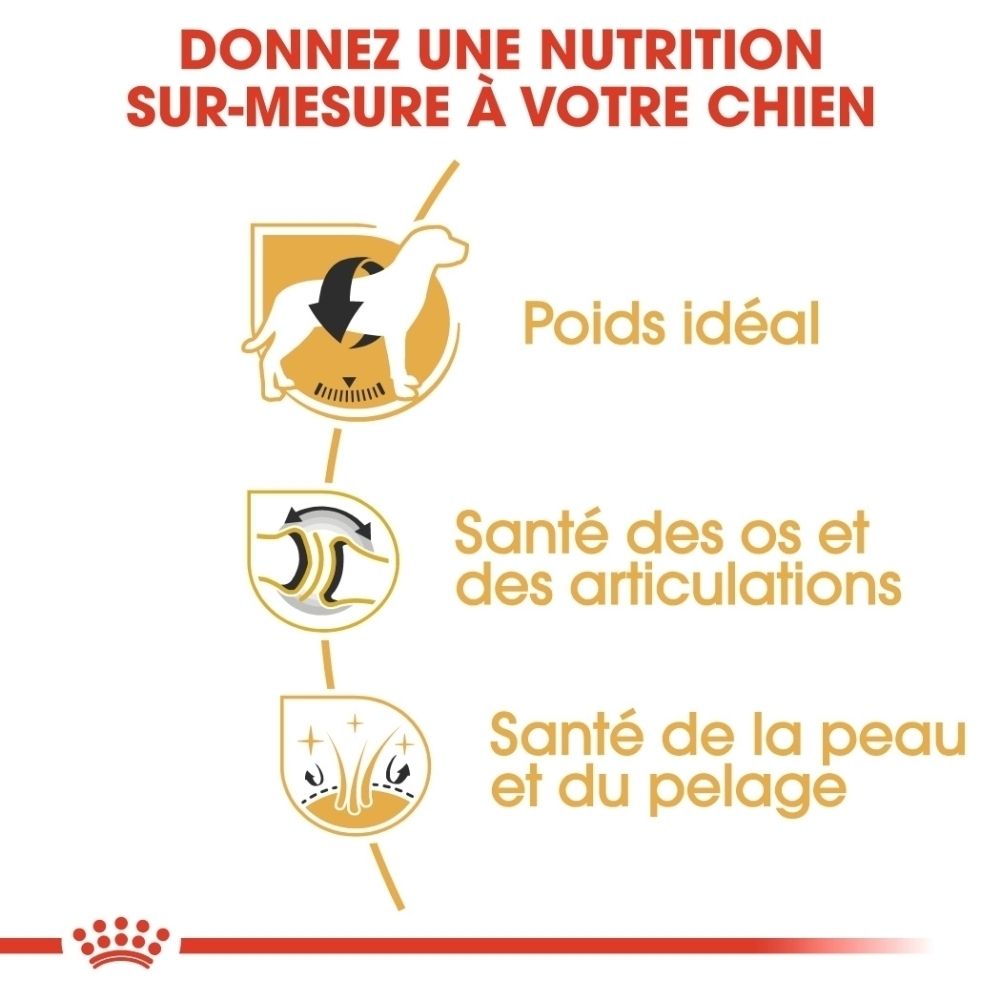 Graphiques illustrant les avantages de Royal Canin Labrador Retriever Adulte : poids idéal, santé des os et articulations, santé de la peau et du pelage.