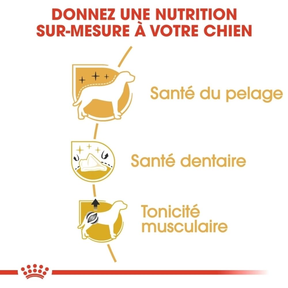 Sac Royal Canin pour Poodles: Nutrition de race, croquettes sur mesure et santé du pelage.