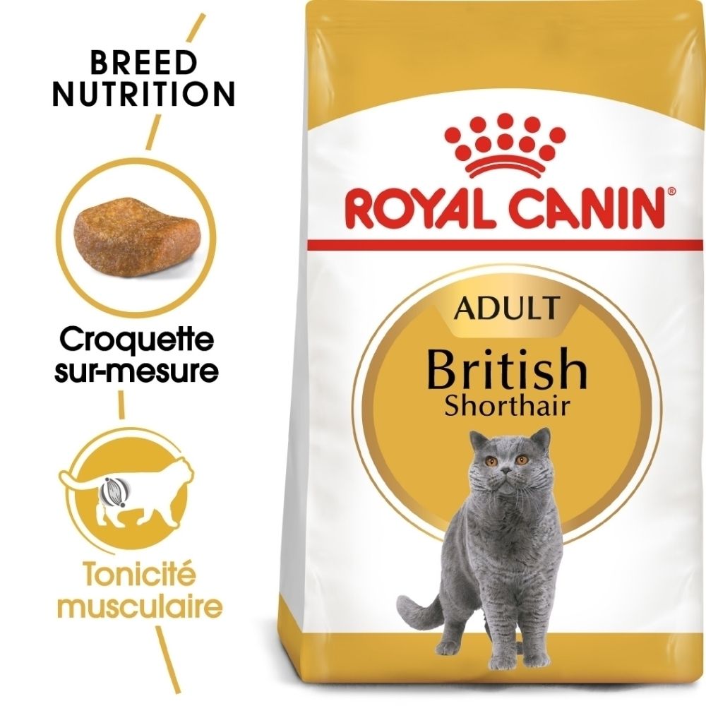 Face avant d'un sac de nourriture ROYAL CANIN® British Shorthair avec image de chat et informations produit.
