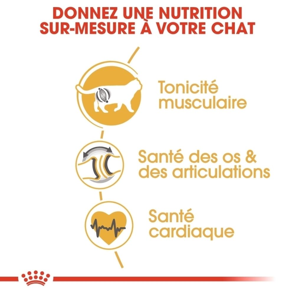 Sac de nourriture ROYAL CANIN® British Shorthair avec informations sur la santé osseuse, articulaire et cardiaque.