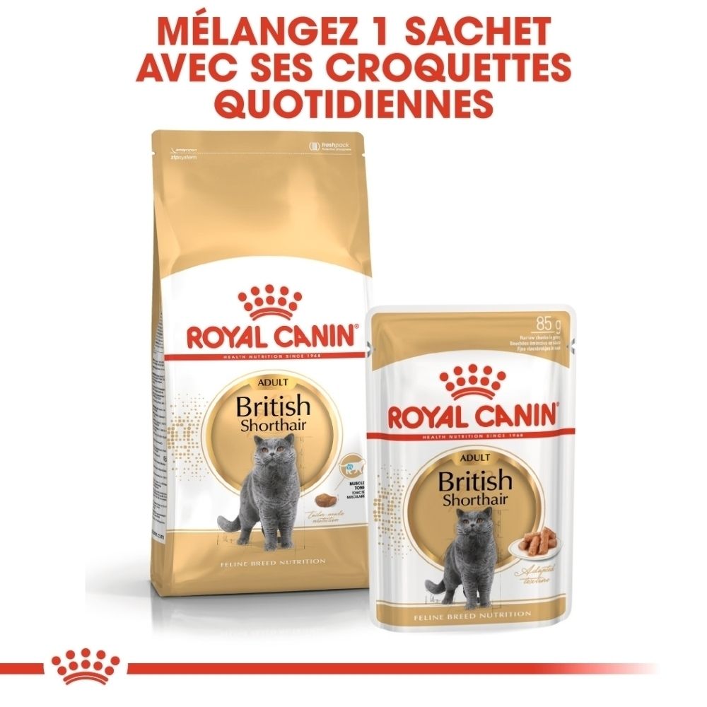 Sac de nourriture ROYAL CANIN® British Shorthair avec image de chat et informations produit.