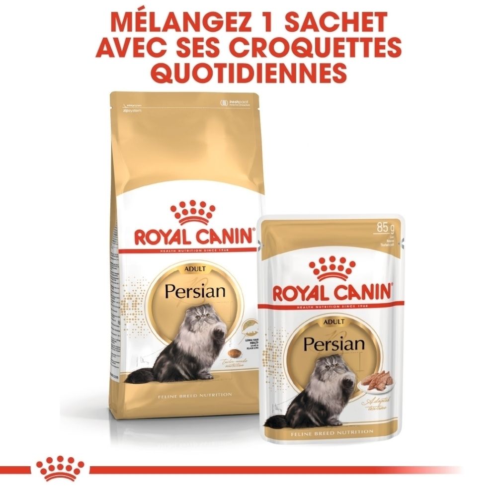 Nourriture Royal Canin Persian pour chats adultes en sachet et pochette. Emballage doré avec image de chat.