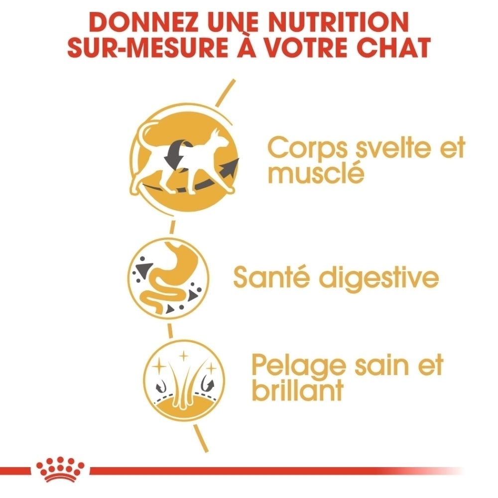 Graphique avec trois icônes : corps svelte, digestion, pelage brillant. Texte : Nutrition sur mesure pour votre chat.