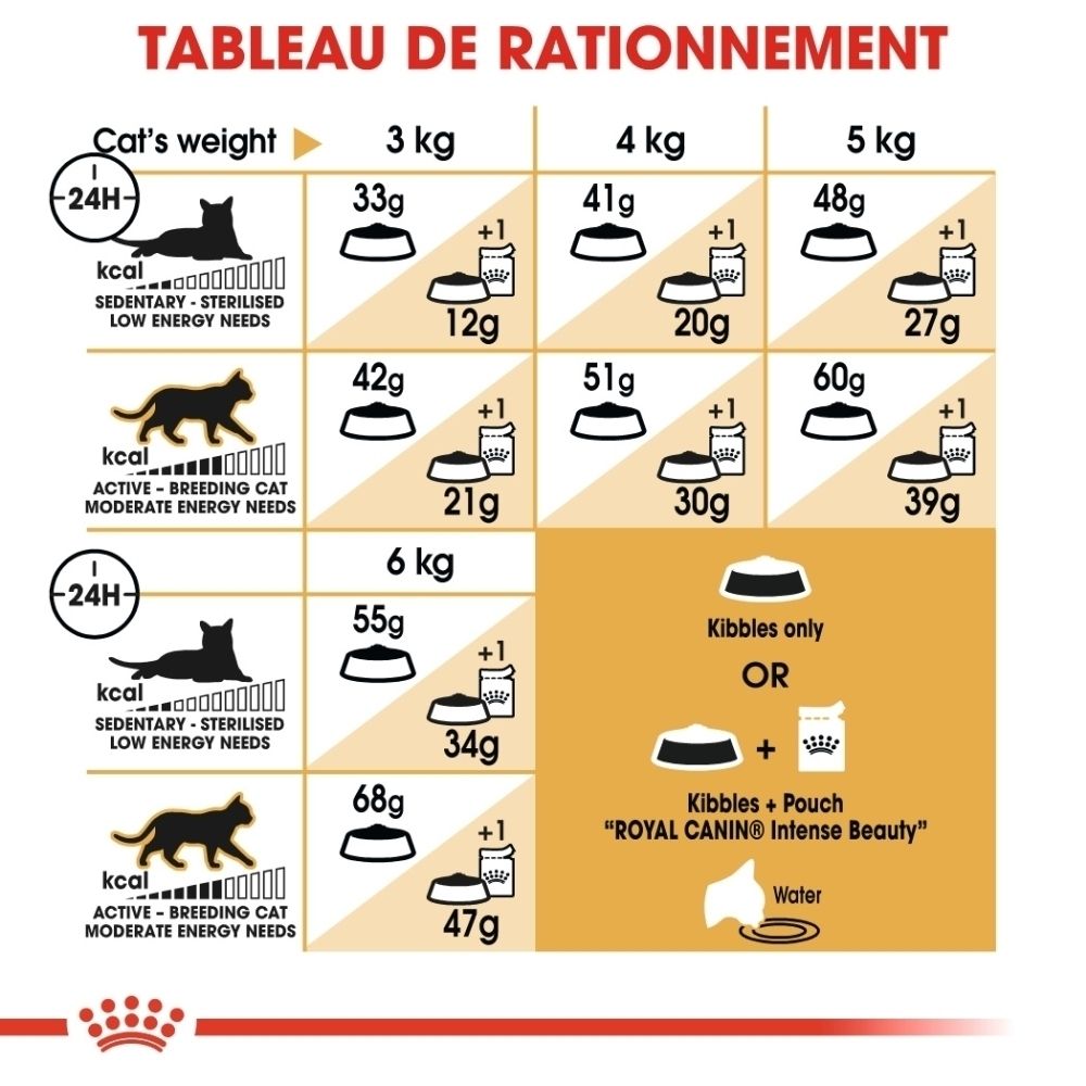 Tableau de rationnement pour nourriture de chat par poids et niveau d'activité, avec quantités en grammes.