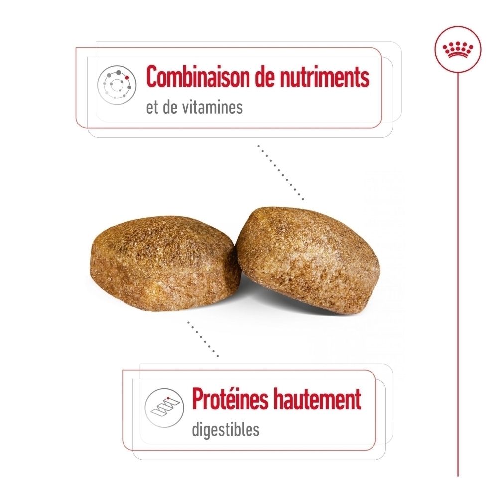 Deux croquettes de nourriture pour chien avec icônes pour combinaison de nutriments et haute digestibilité.