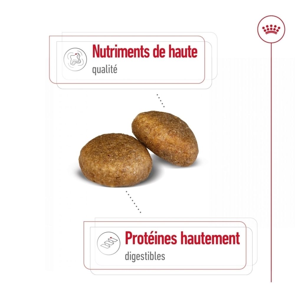 Arrière d'un sac de croquettes ROYAL CANIN Maxi Adult avec informations détaillées.