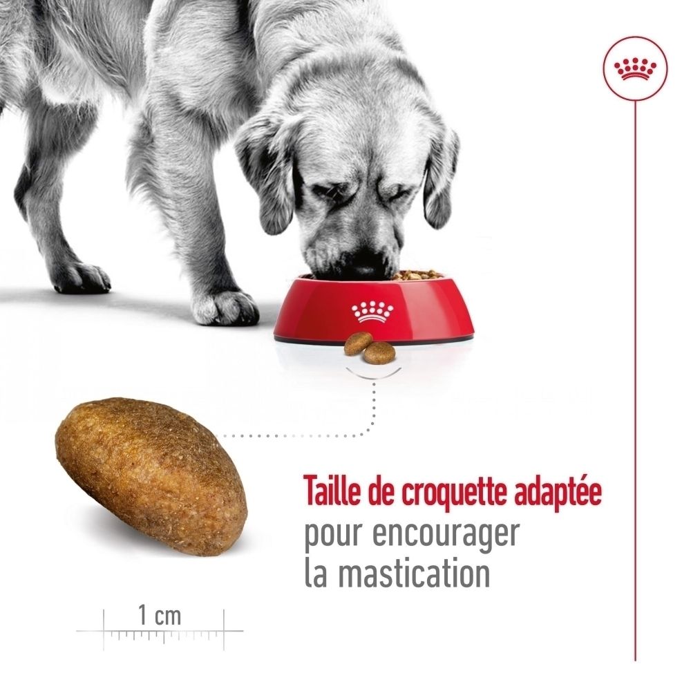 Côté d'un sac de croquettes ROYAL CANIN Maxi Adult indiquant 15 kg.