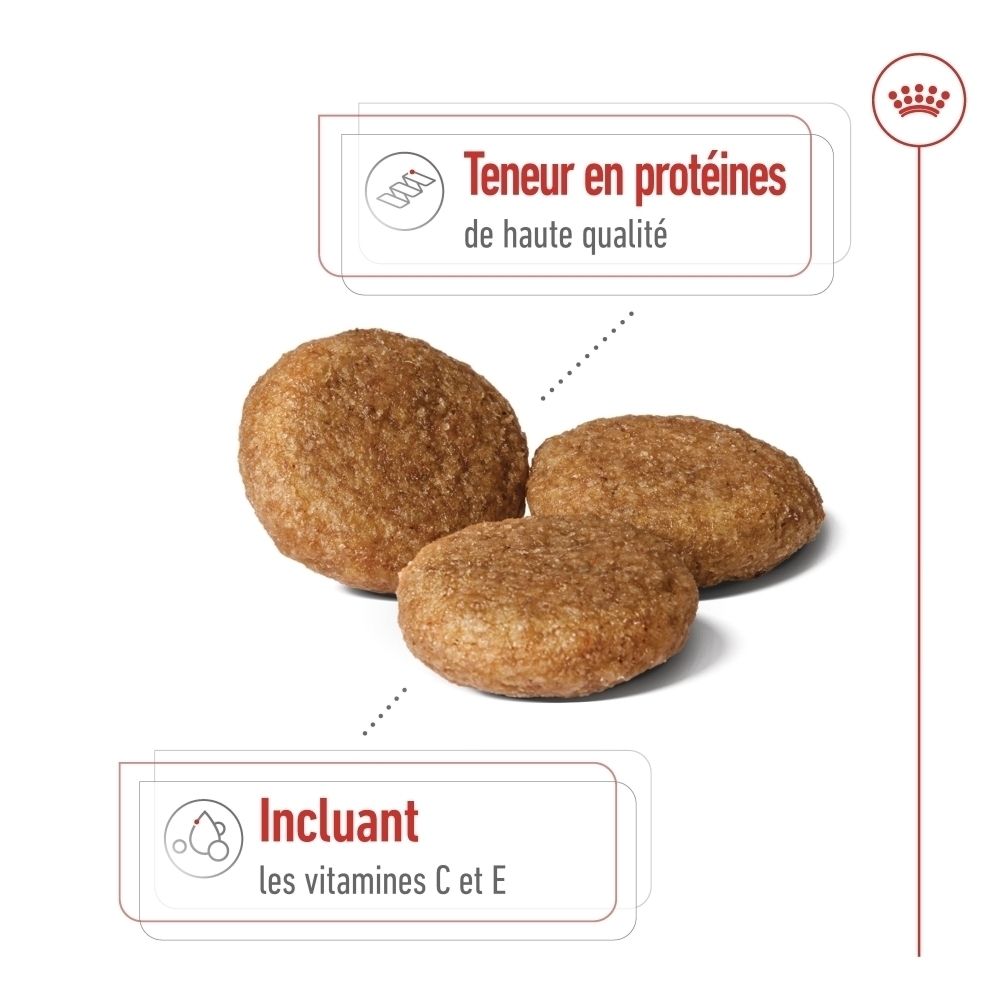 Gros plan de croquettes pour chien avec texte sur la teneur en protéines et les vitamines.