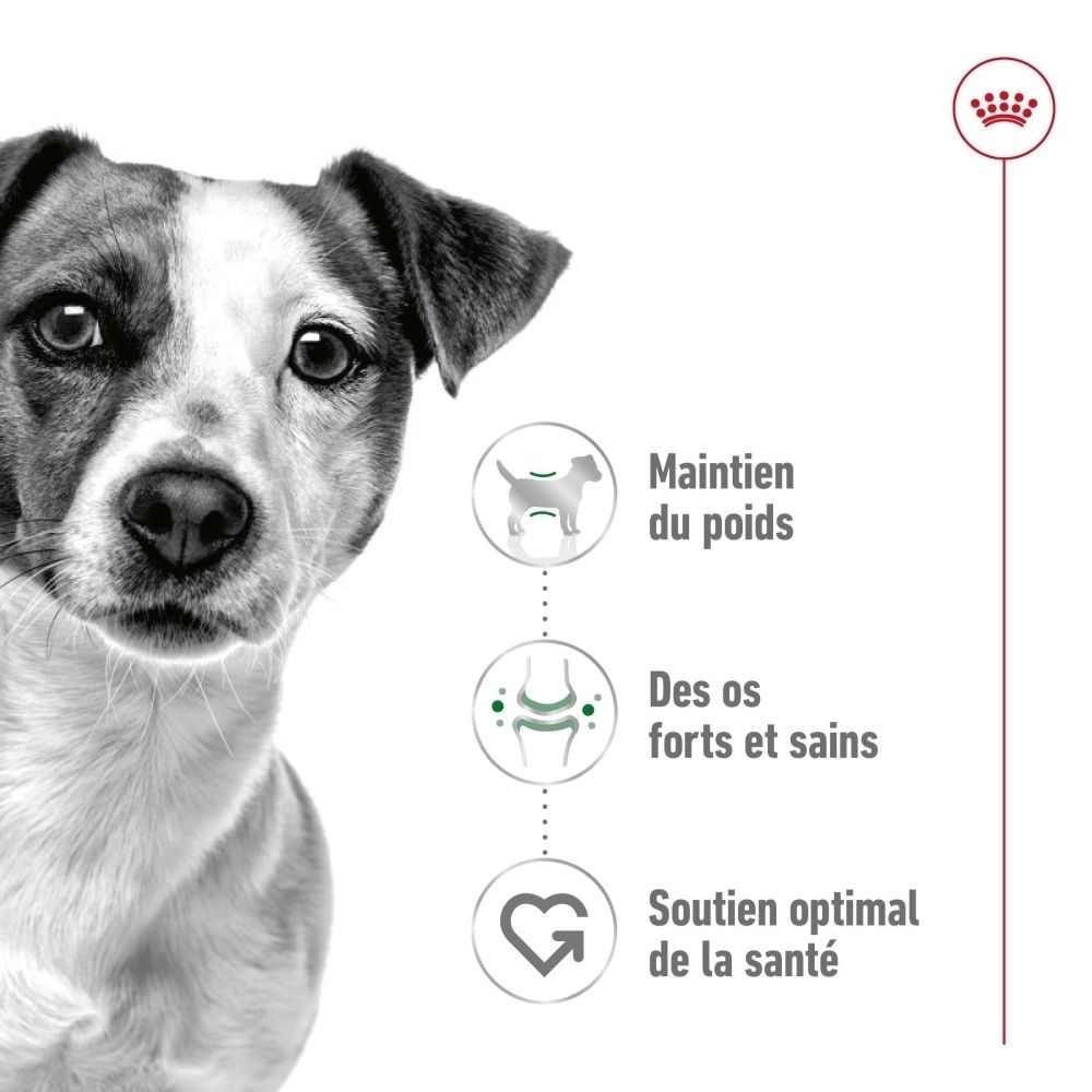 Sac de nourriture ROYAL CANIN Mini Adult, taille S, 2 kg. Pour chiens de petite taille jusqu'à 10 kg.