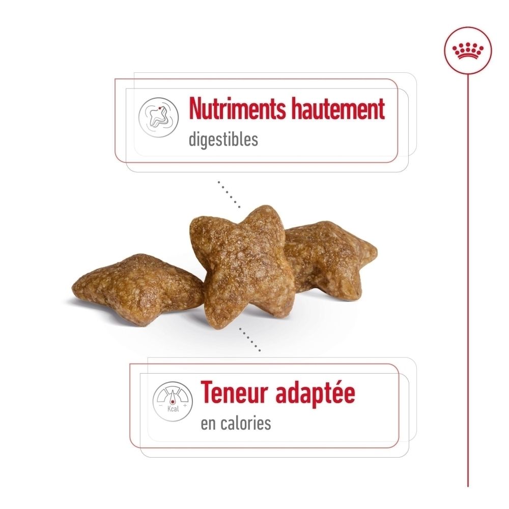 Arrière d'un sac de nourriture ROYAL CANIN Mini Adult, taille S. Avec des recommandations alimentaires détaillées.