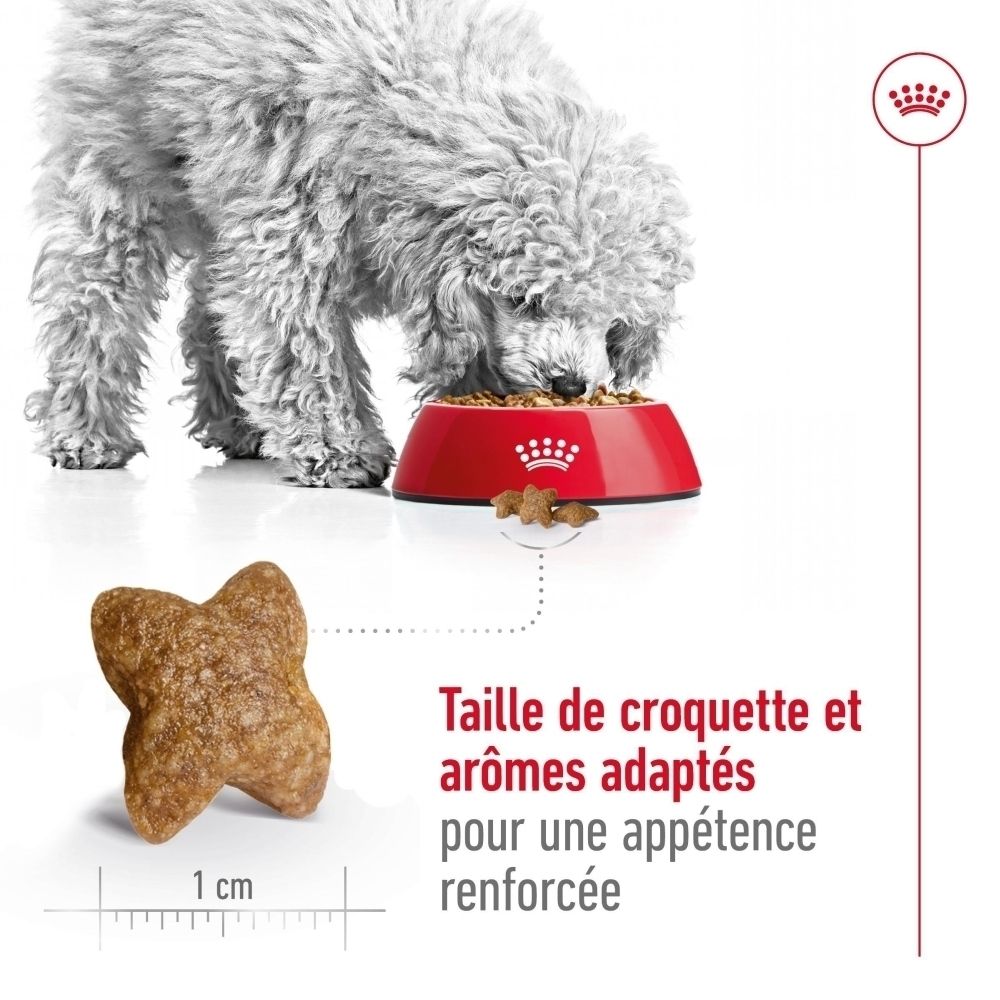 Arrière d'un sac de nourriture ROYAL CANIN Mini Adult, taille S. Avec tableaux d'alimentation et informations produit.