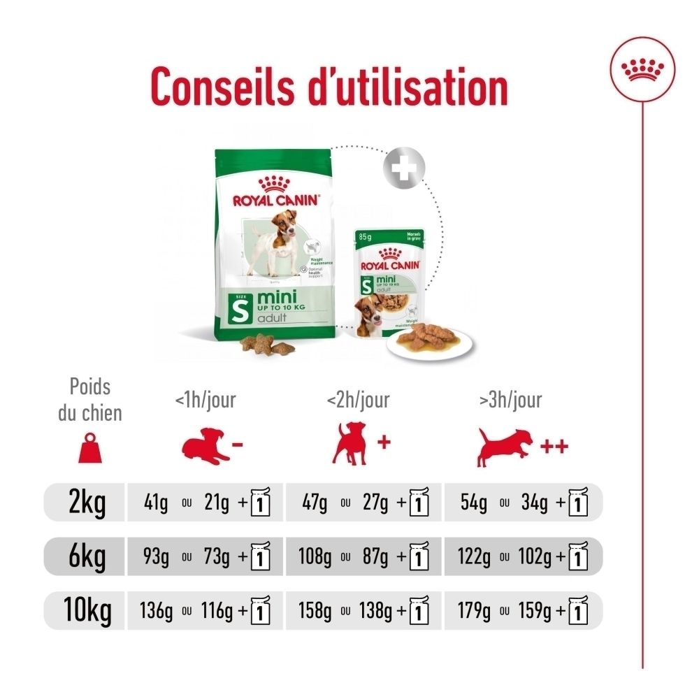 Sac de nourriture ROYAL CANIN Mini Adult, taille S, jusqu'à 10 kg. Avec l'image d'un Jack Russell Terrier et les caractéristiques du produit.