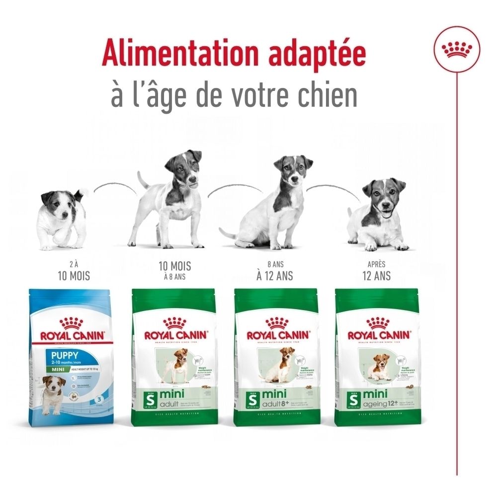Sac de croquettes ROYAL CANIN Mini Adult pour chien, 4kg, vue de face avec chien et caractéristiques produit.