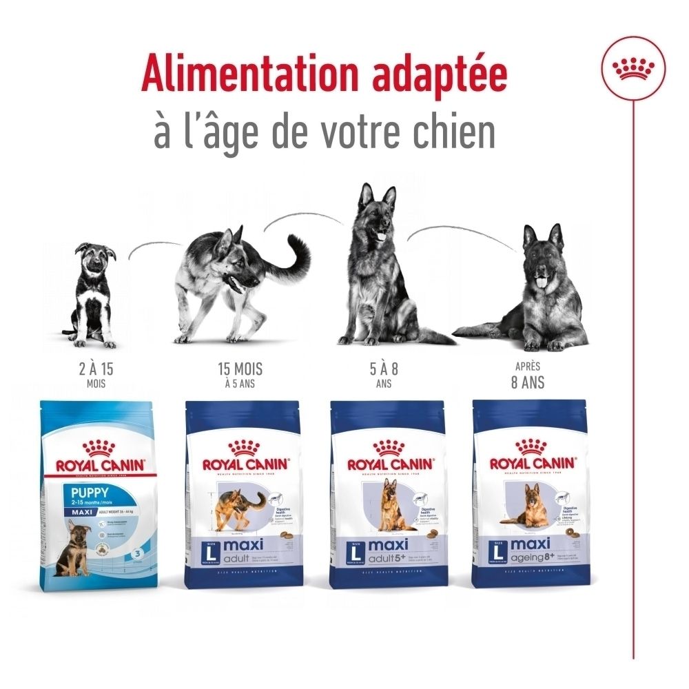 Un chien mange dans une gamelle, à côté une croquette en gros plan avec indication de taille (1 cm).