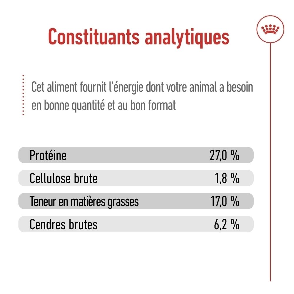 Sac et boîte Royal Canin Maxi Ageing 8+ combinés avec de la nourriture humide sur une assiette.
