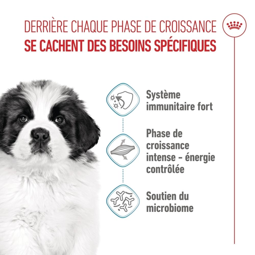 Royal Canin Puppy Giant : Système immunitaire fort, phase de croissance intense, énergie contrôlée.