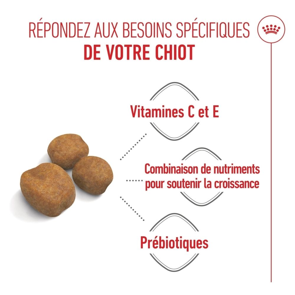Image de trois croquettes pour chiens. Texte : Vitamines C et E, combinaison de nutriments, prébiotiques.