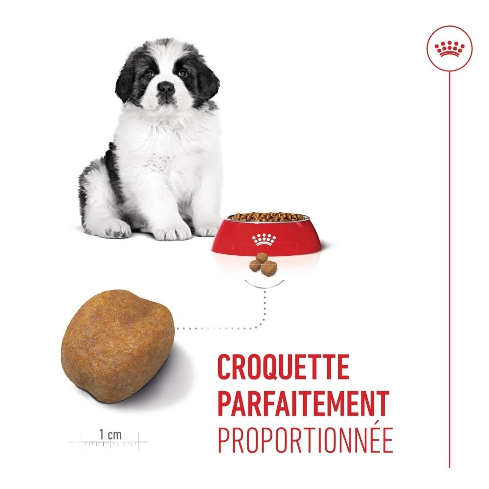 Royal Canin Puppy Giant : Croquettes parfaitement proportionnées, taille 1 cm, avec image de chiot.