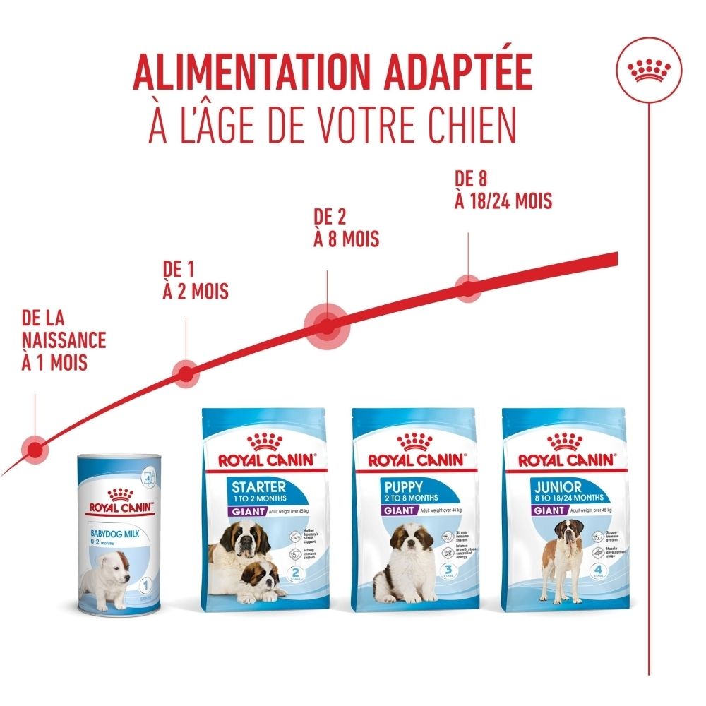 Graphique de recommandations alimentaires. Montre la transition alimentaire sur 7 jours. Bols avec nourriture.