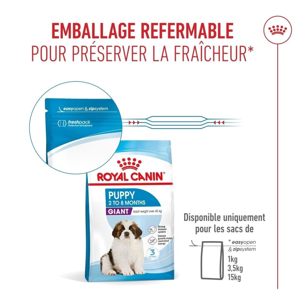 Image de croquettes pour chiens à côté d'un bol. Texte : Croquettes proportionnées de manière optimale. Échelle 1 cm.