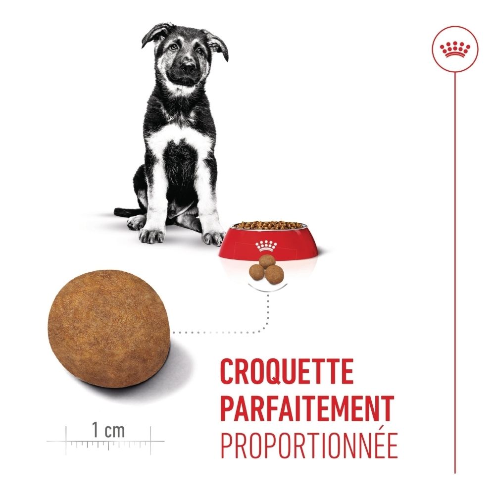 Vue latérale du sac ROYAL CANIN® Maxi Puppy. Texte et informations sur l'alimentation. Emballage bleu et blanc.