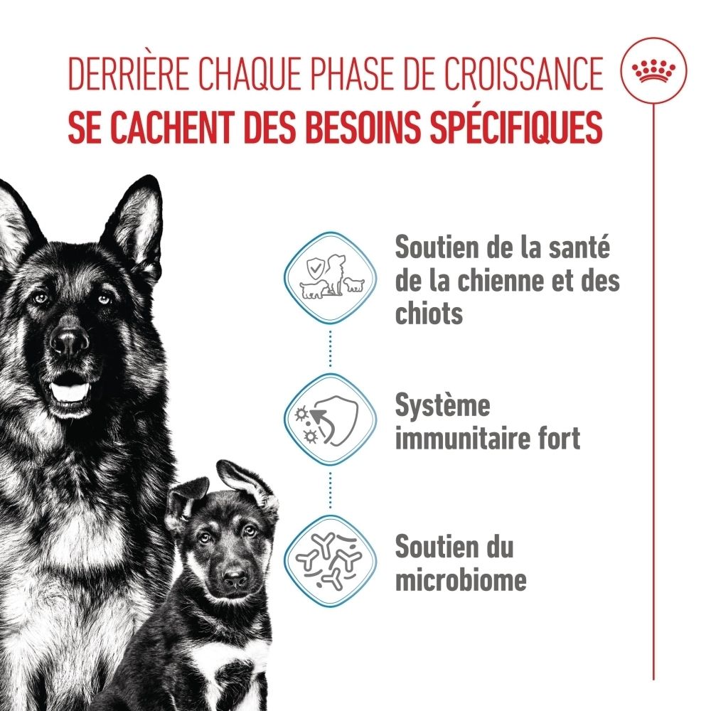 Sac de nourriture pour chiens avec illustrations de mère et chiot et indications de santé.