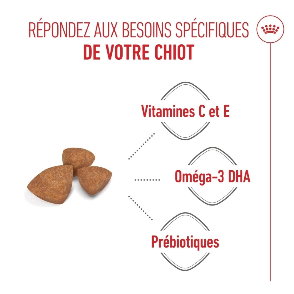Aliment Royal Canin SHN PUPPY X-SMALL : croquettes avec vitamines, Oméga-3 DHA et prébiotiques.