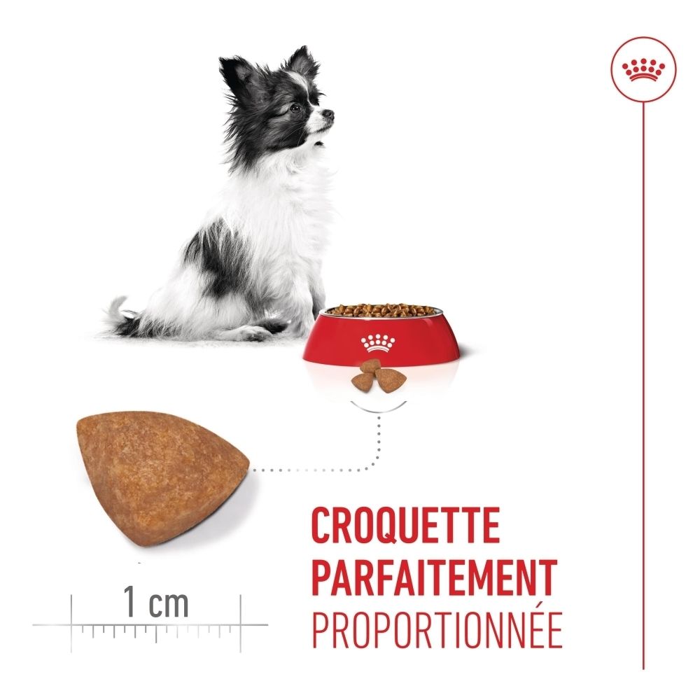 Aliment Royal Canin SHN PUPPY X-SMALL : chiot, gamelle et gros plan sur une croquette de 1cm.