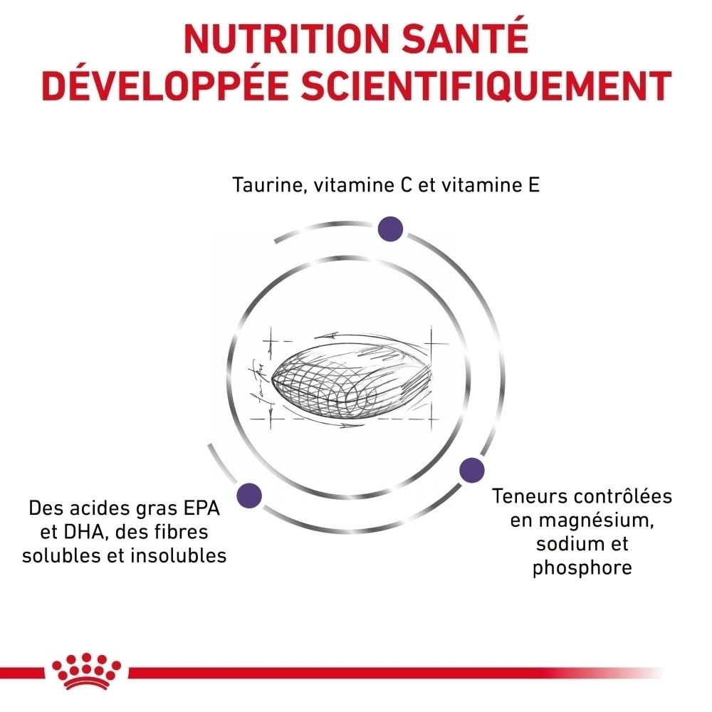 Avantages produit ROYAL CANIN® VETERINARY DIET Adult : Équilibre énergétique, antioxydants, voies urinaires.