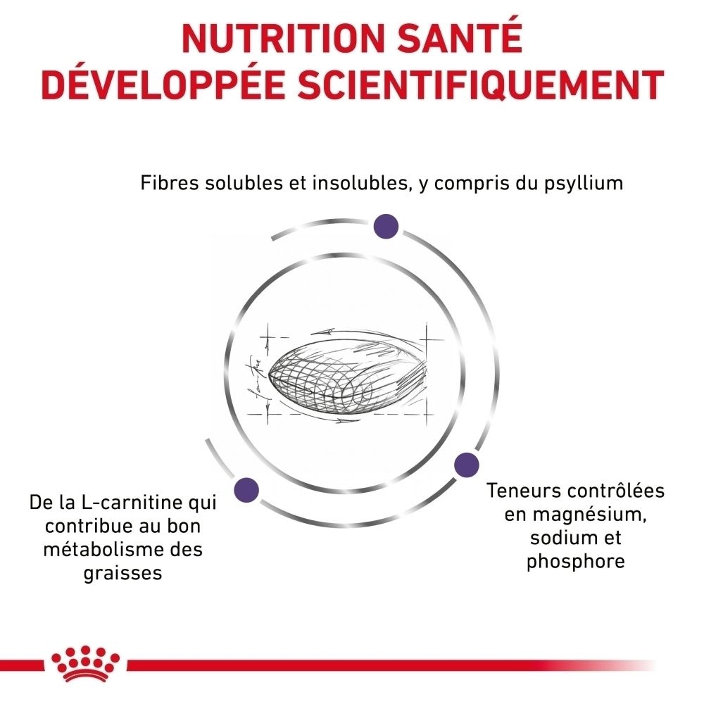 Graphique sur le choix d'alimentation scientifiquement prouvé pour chats.