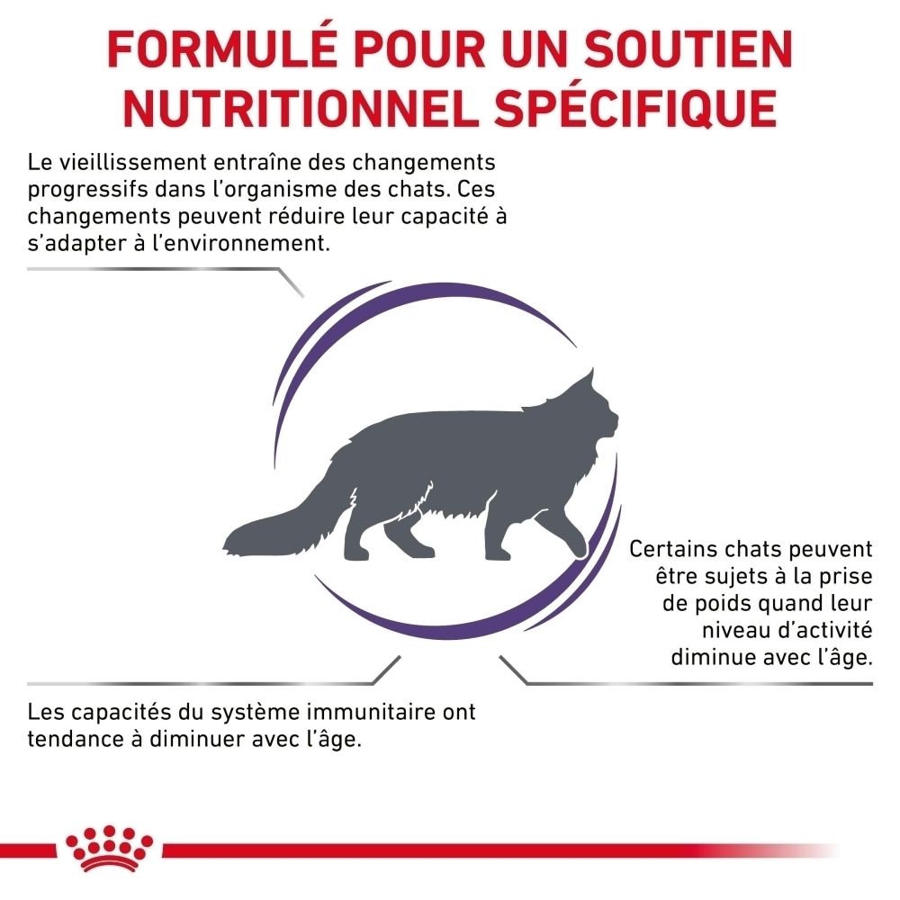 Graphique sur les changements liés à l'âge dans le corps et le système immunitaire du chat.