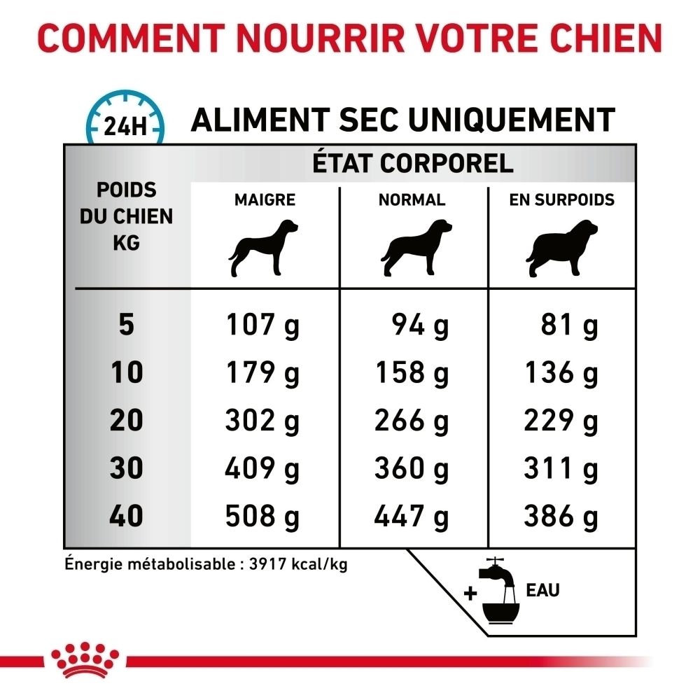 Sac de nourriture Royal Canin Anallergenic pour chien, vue de face.