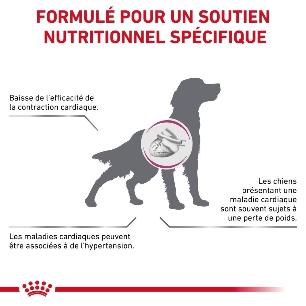 Illustration canine montrant les effets de la maladie cardiaque sur la fonction cardiaque et le poids.