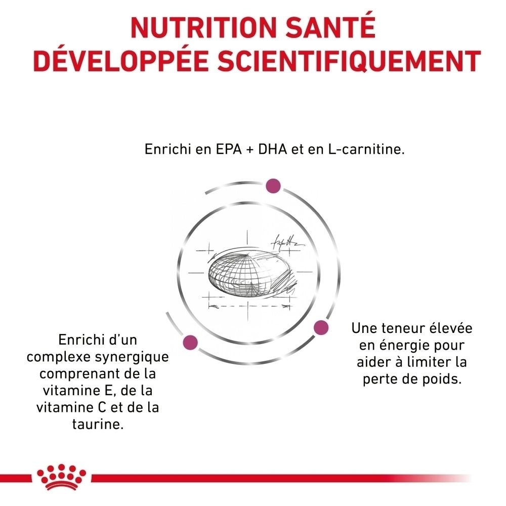 Illustration canine expliquant les nutriments clés pour le soutien cardiaque, tels que EPA, DHA et L-carnitine.