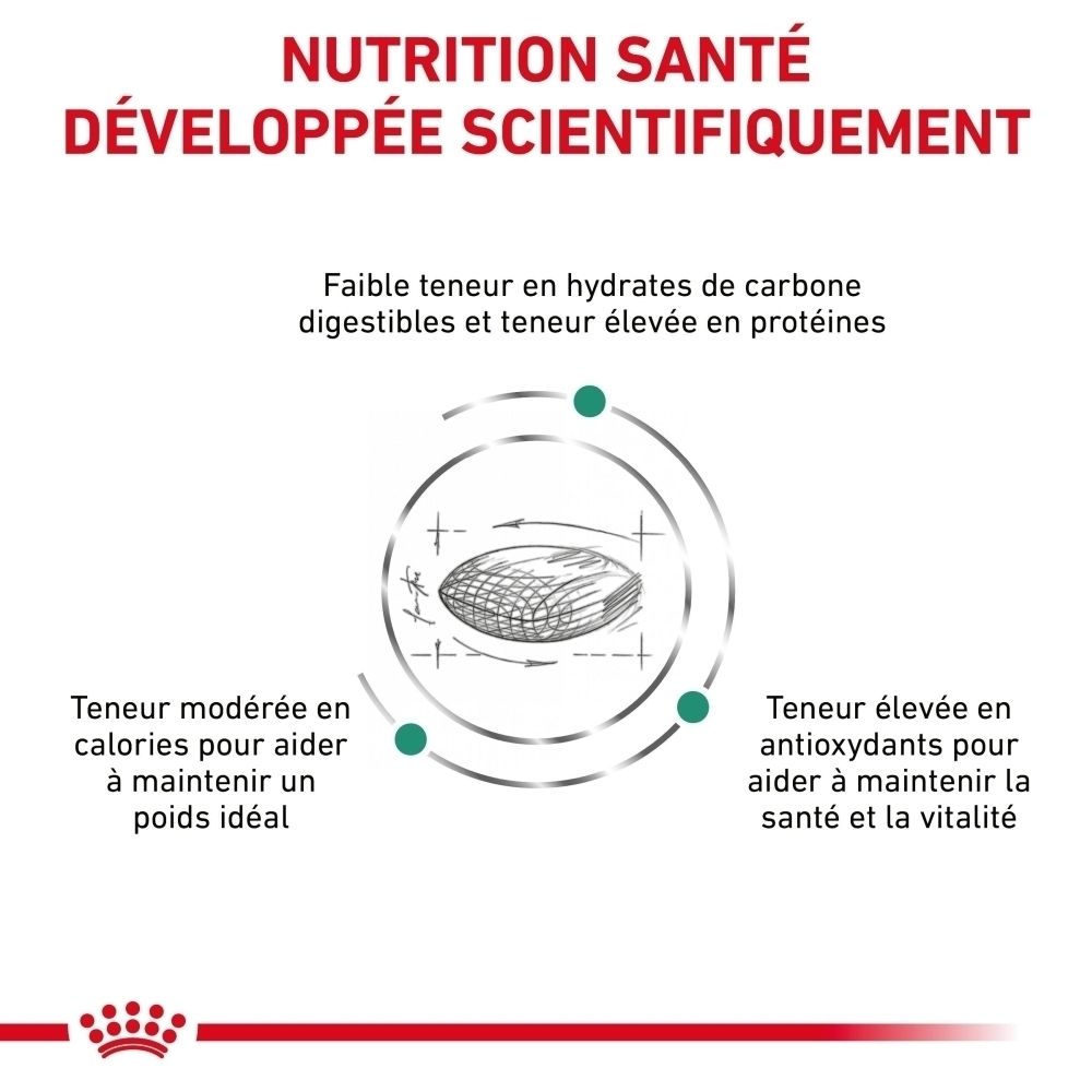 Graphique sur la nutrition canine développée scientifiquement.