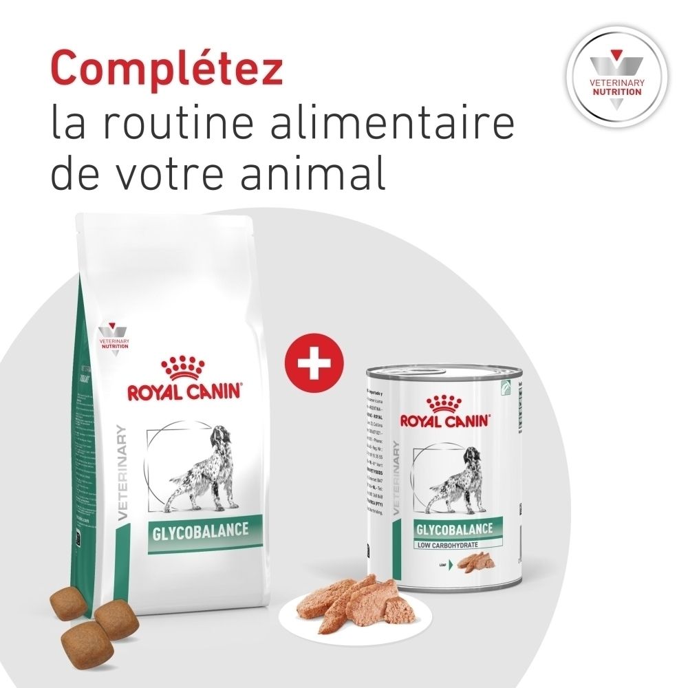 Croquettes et nourriture humide Royal Canin Glycobalance avec des croquettes.